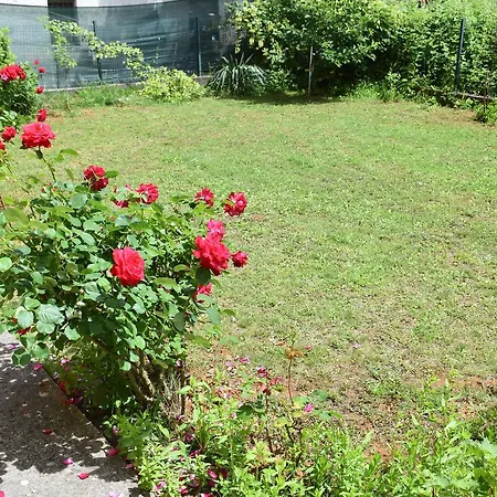 Guest house Regina Mundi 3*